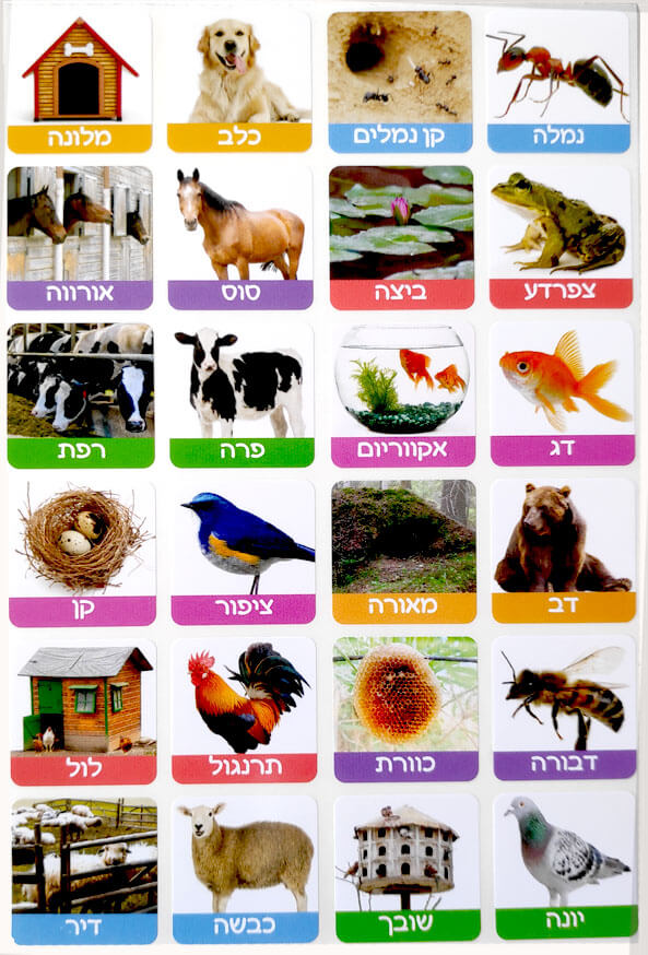 מדבקות אני וביתי בע"ח