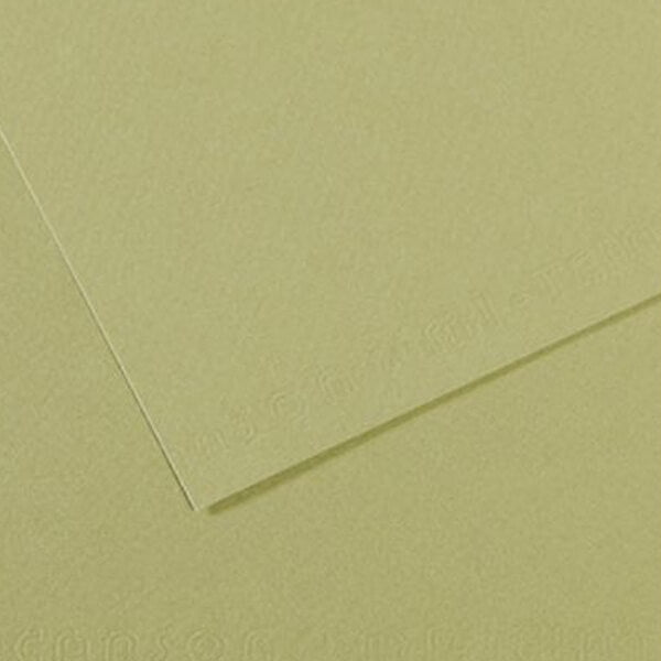Mi-Teintes - 480 light green