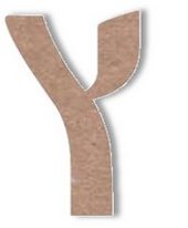 ץ