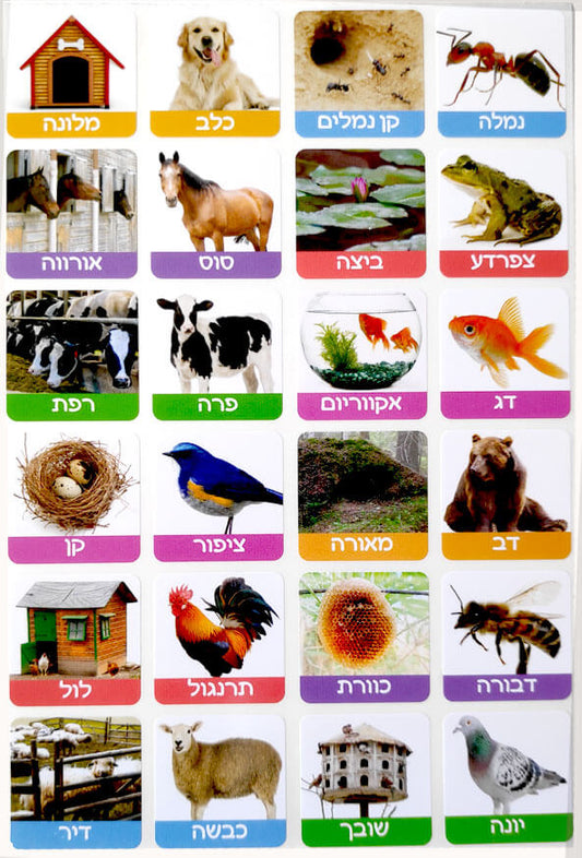 מדבקות אני וביתי בע"ח