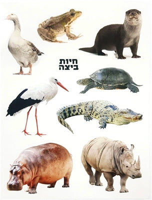 מדבקות חיות בביצה