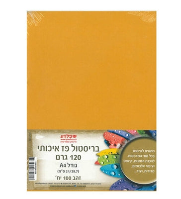 בריסטול פז A4 - זהב