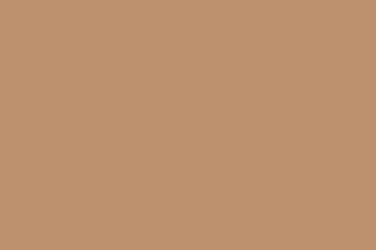 ספריי צבע Montana GOLD 400 מ"ל - G1440 Toffee (טופי)