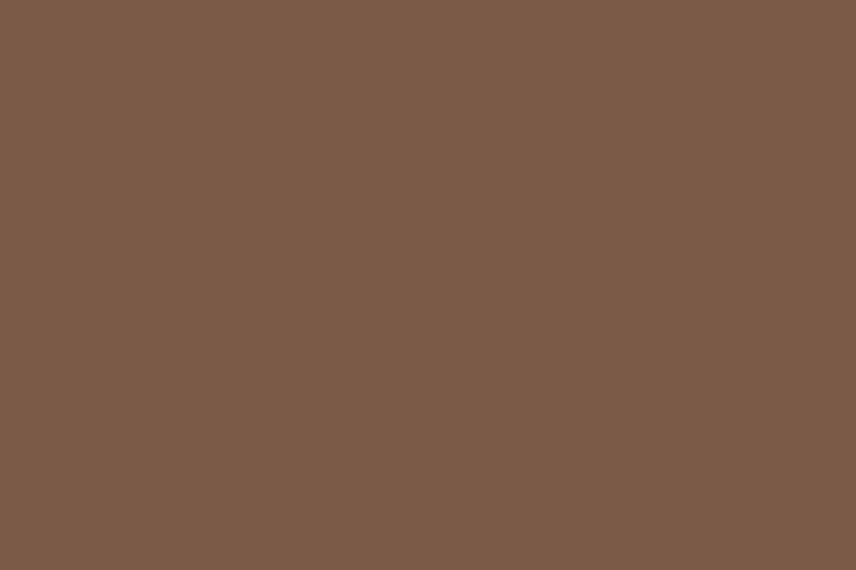 ספריי צבע Montana GOLD 400 מ"ל - G1450 Hot Chocolate (שוקו חם)