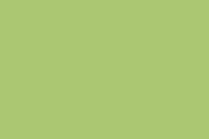 ספריי צבע Montana GOLD 400 מ"ל - G6020 Apple Green (ירוק תפוח)