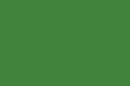 ספריי צבע Montana GOLD 400 מ"ל - G6050 Greenery (ירקות)