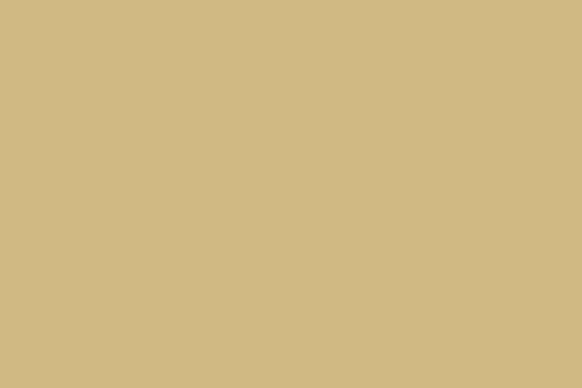 ספריי צבע Montana GOLD 400 מ"ל - G8020 Sahara Beige (בז' סהרה)