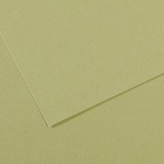 Mi-Teintes - 480 light green