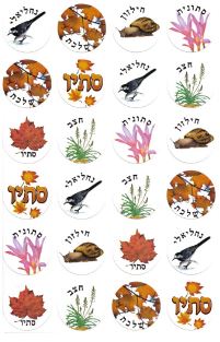 מדבקות סתיו - סמלים עם שמות